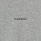 Превью №4 Rush logo t-shirt