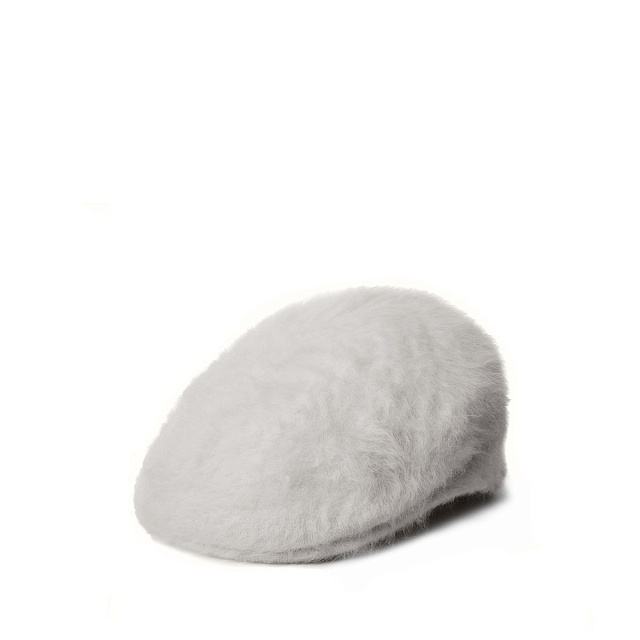 Furgora 504