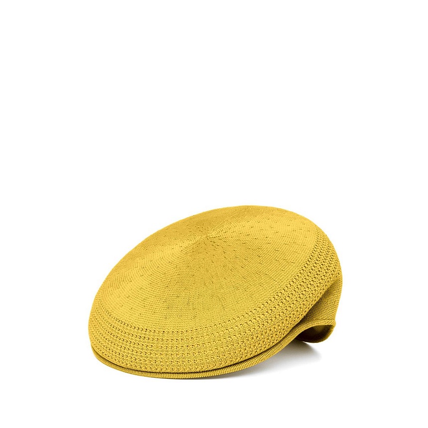 Ventair 504 cap