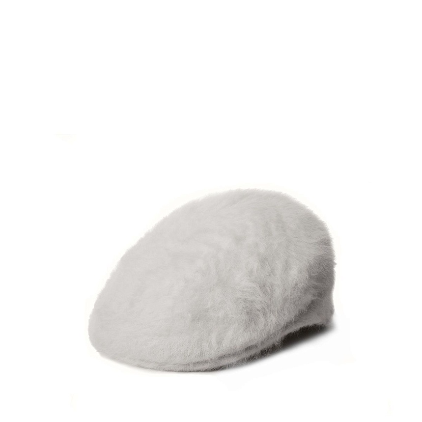 Furgora 504